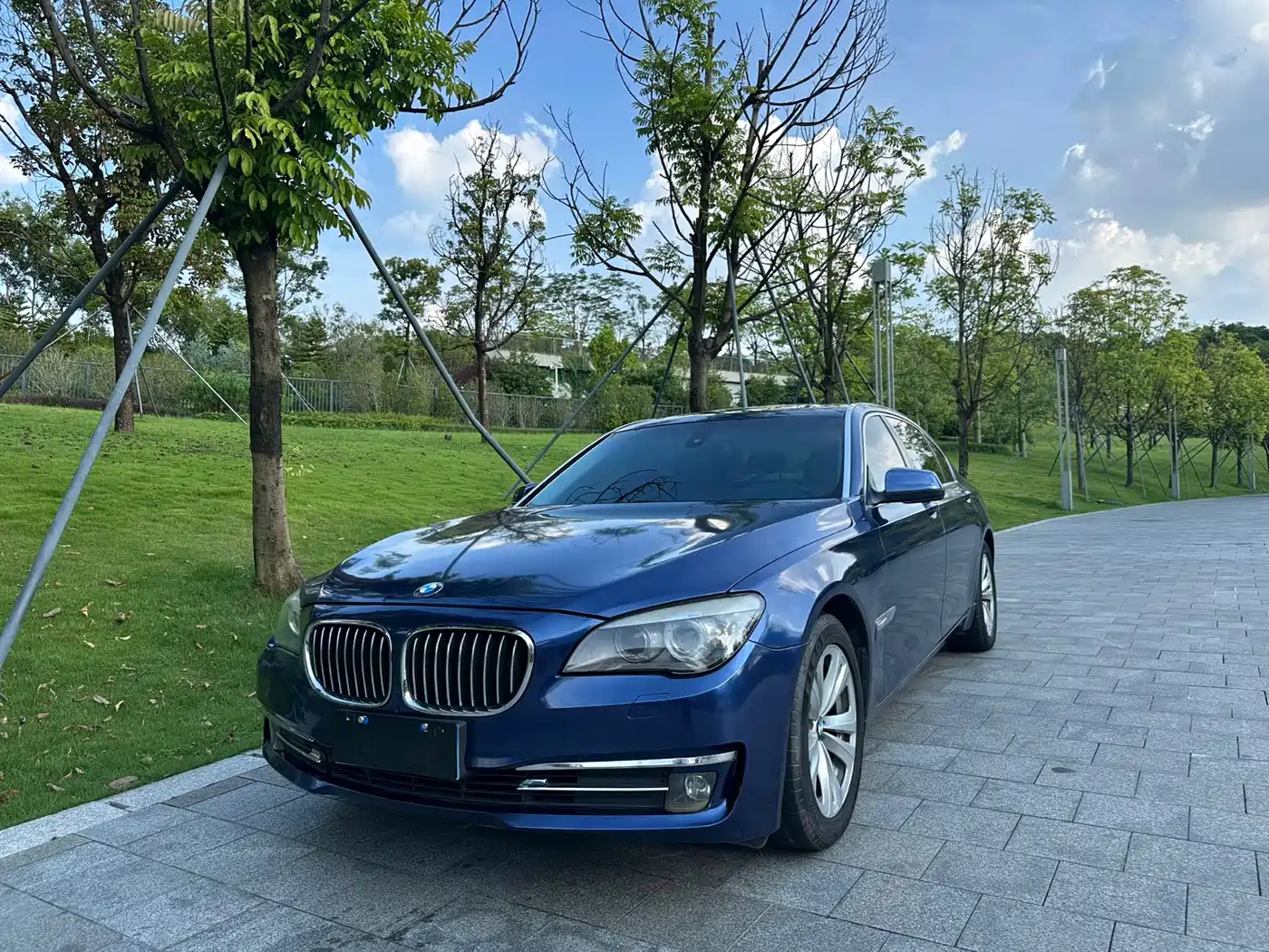 BMW 7 Series 2011 730Li Elegance фото 4