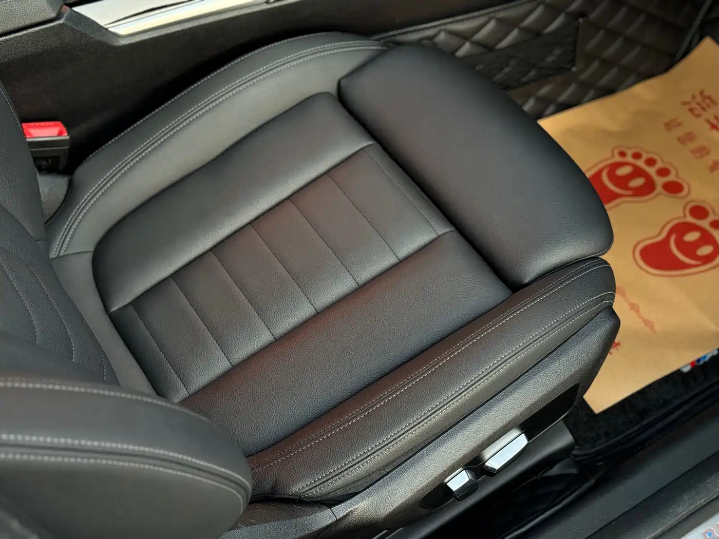 BMW 3 Series 2020 325Li Launch Edition фото 17