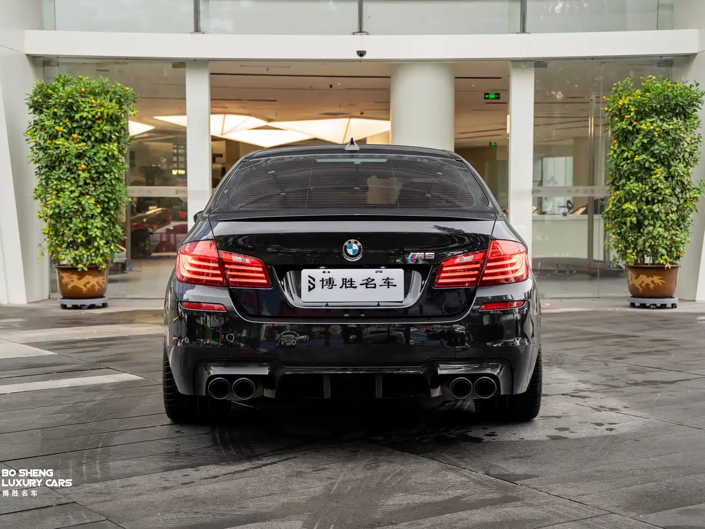 BMW M5 2014 M5 фото 22