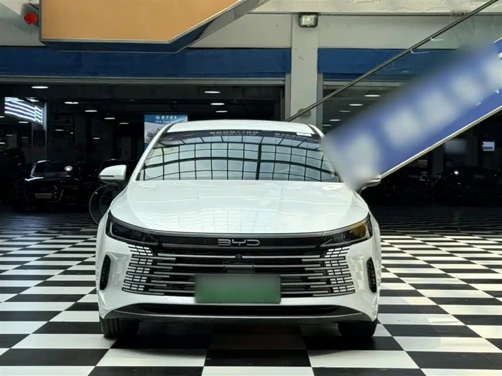 BYD Destroyer 05 2024 Glory Edition DM-i 55KM Luxury фото 25
