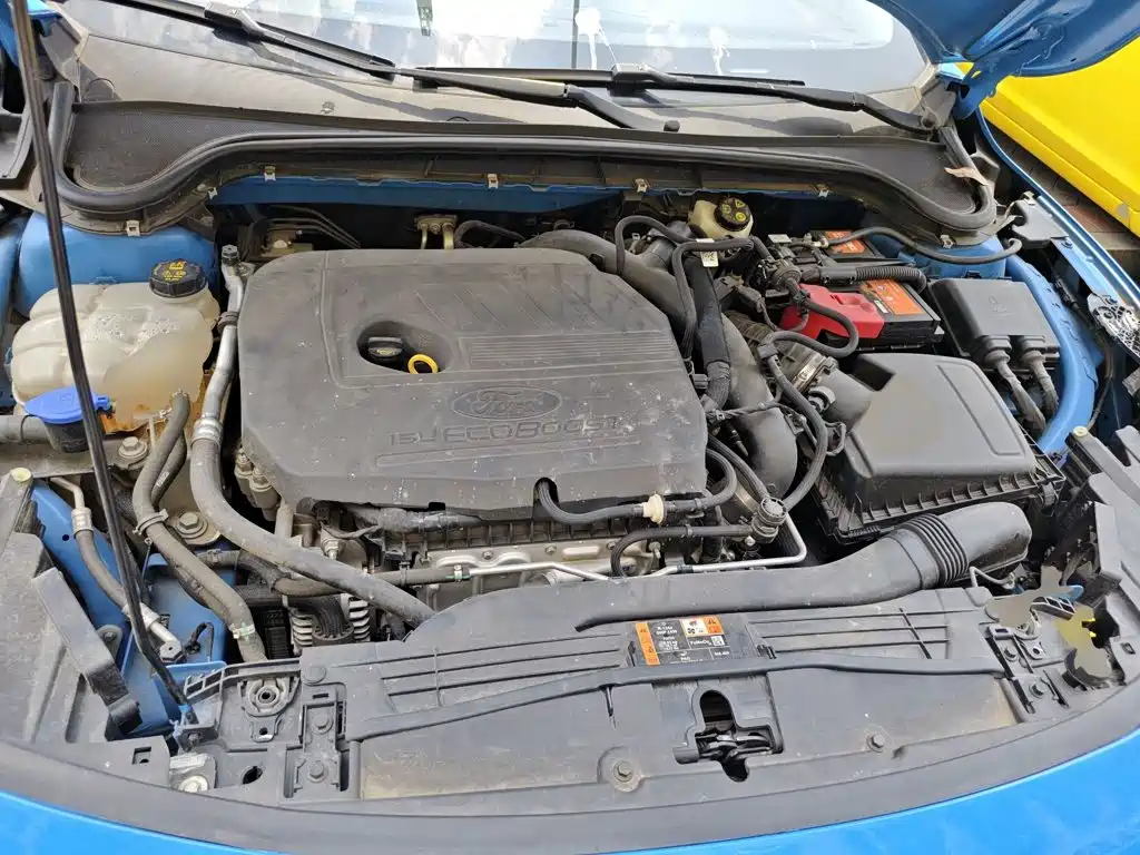 Ford Focus 2022 2022 Hatchback EcoBoost 180 Auto Speed Edition