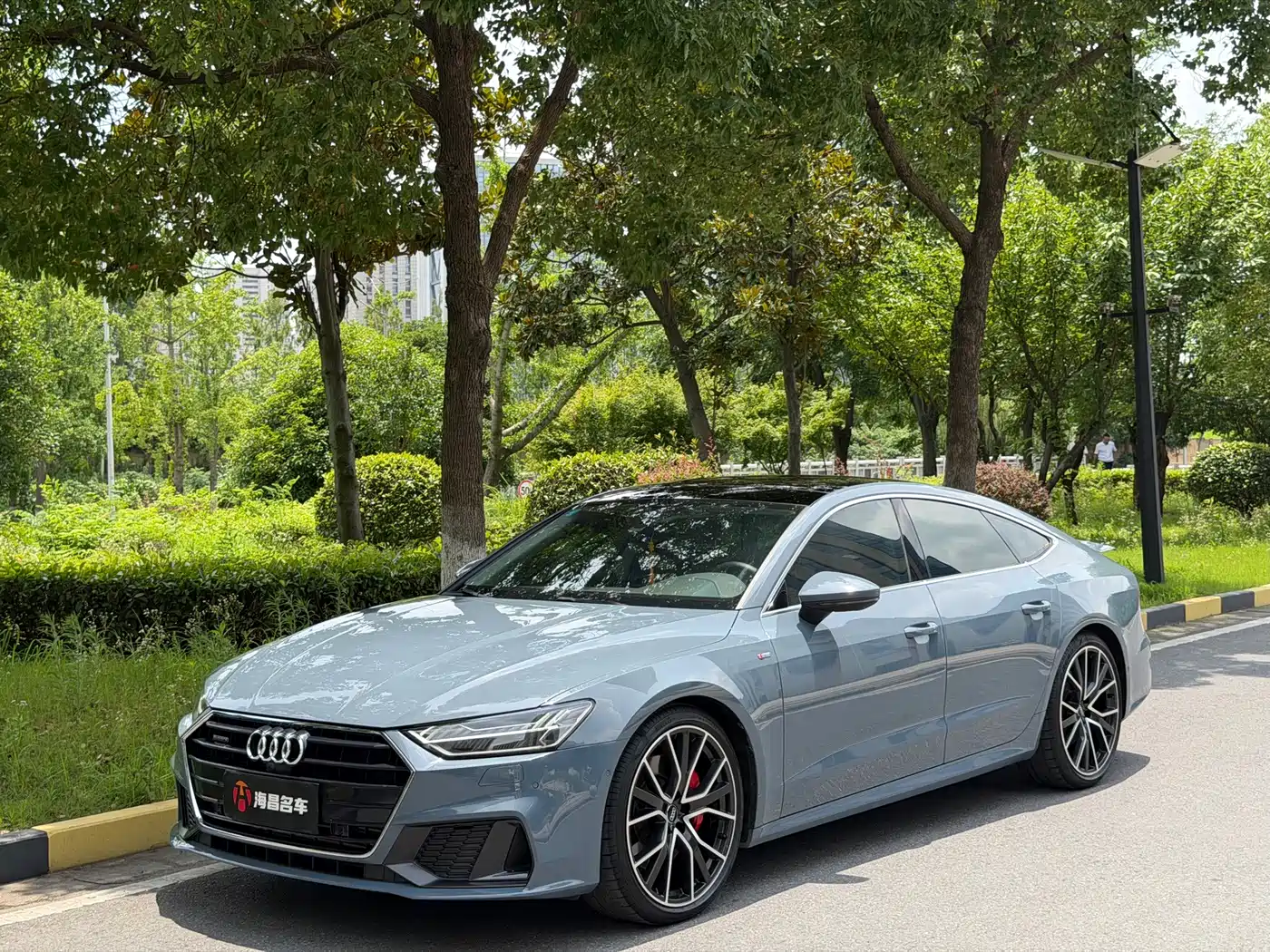 Audi A7 2019 55 TFSI quattro Dynamic Type