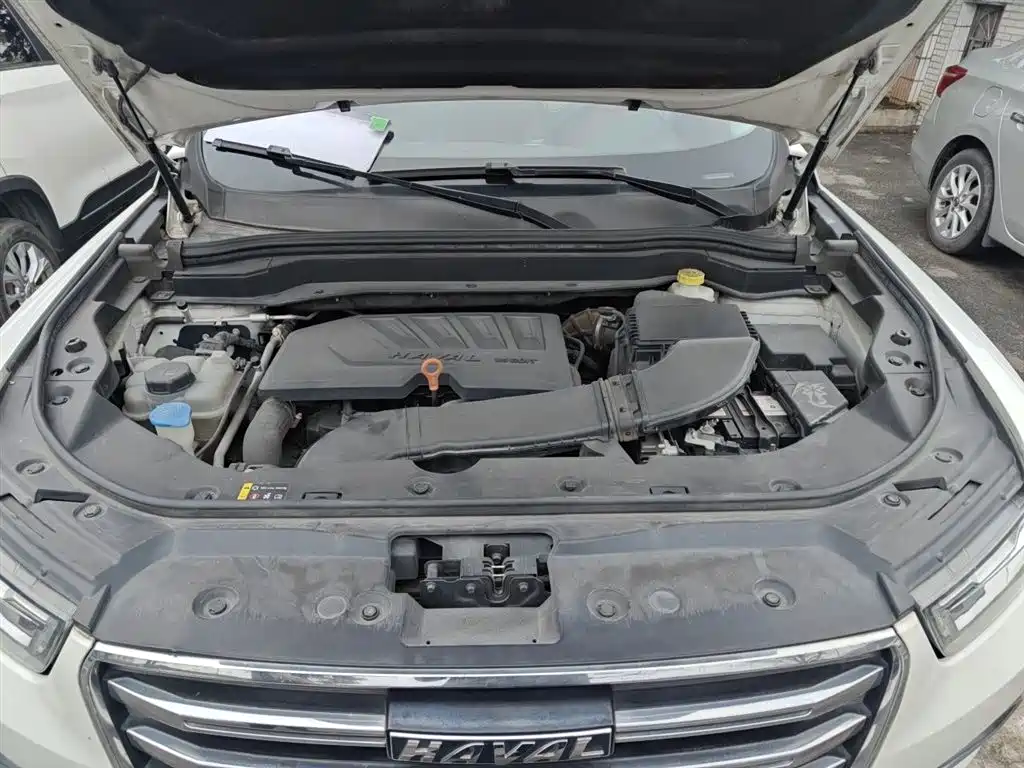 Haval H6 2019 1.5GDIT Automatic Champion Edition China VI фото 11