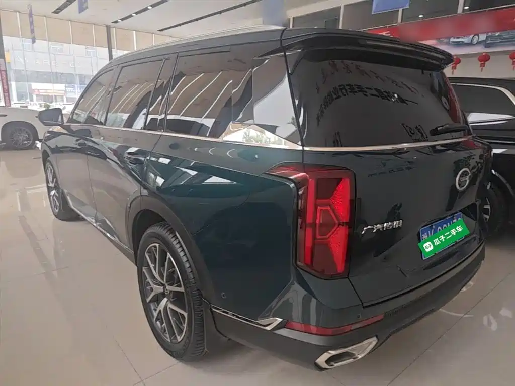 GAC Trumpchi Trumpchi GS8 2022 Pilot Series 2.0TGDI 2WD Premium Edition (6-Seater) фото 5