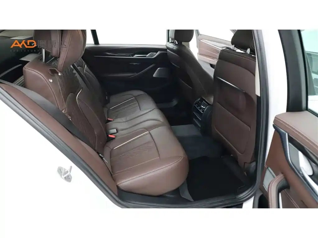 BMW 5 Series 2020 530Li Leading Luxury Package фото 8