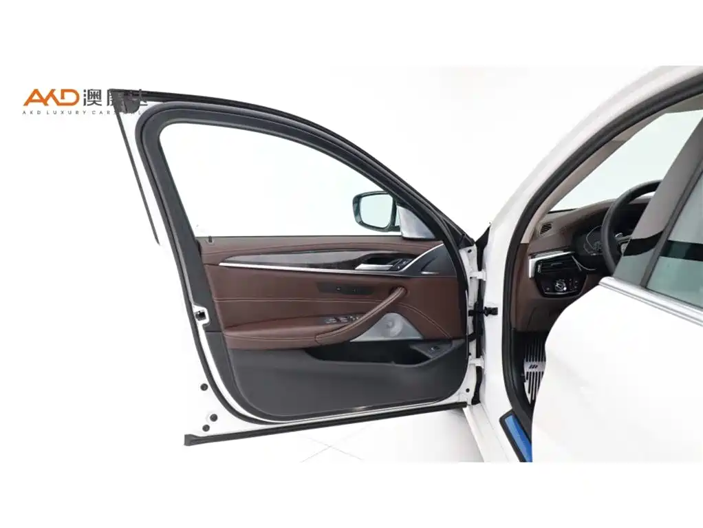 BMW 5 Series 2020 530Li Leading Luxury Package фото 10