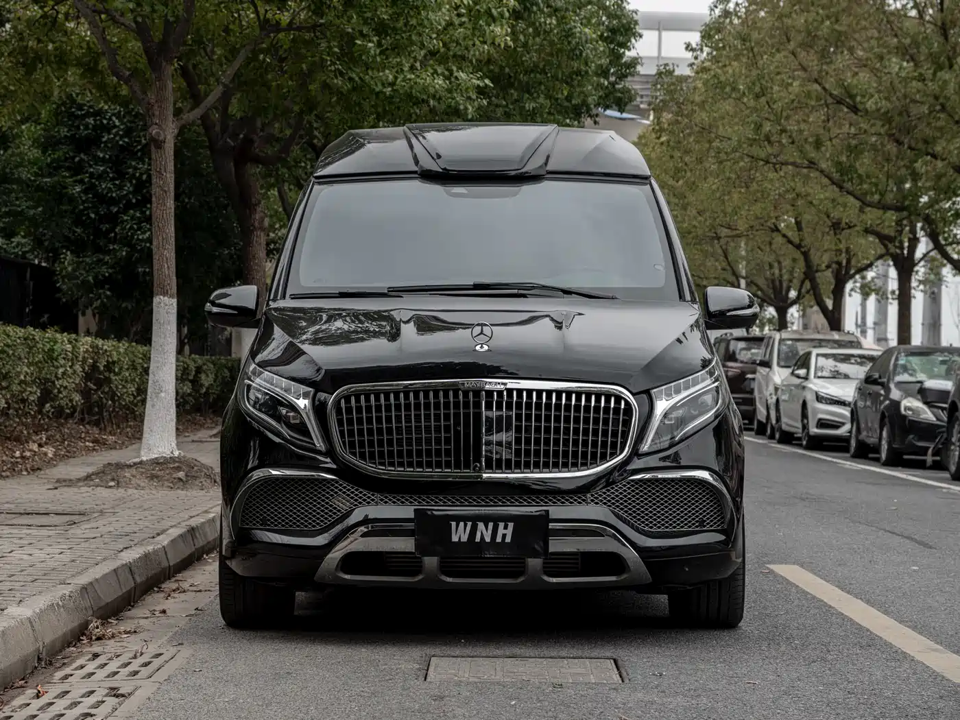 Mercedes-Benz V-Class 2022 V 260 L Long Wheelbase Luxury Edition фото 2