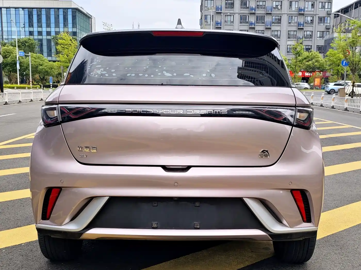 BYD Dolphin 2021 Model 405km Fashion Edition фото 4