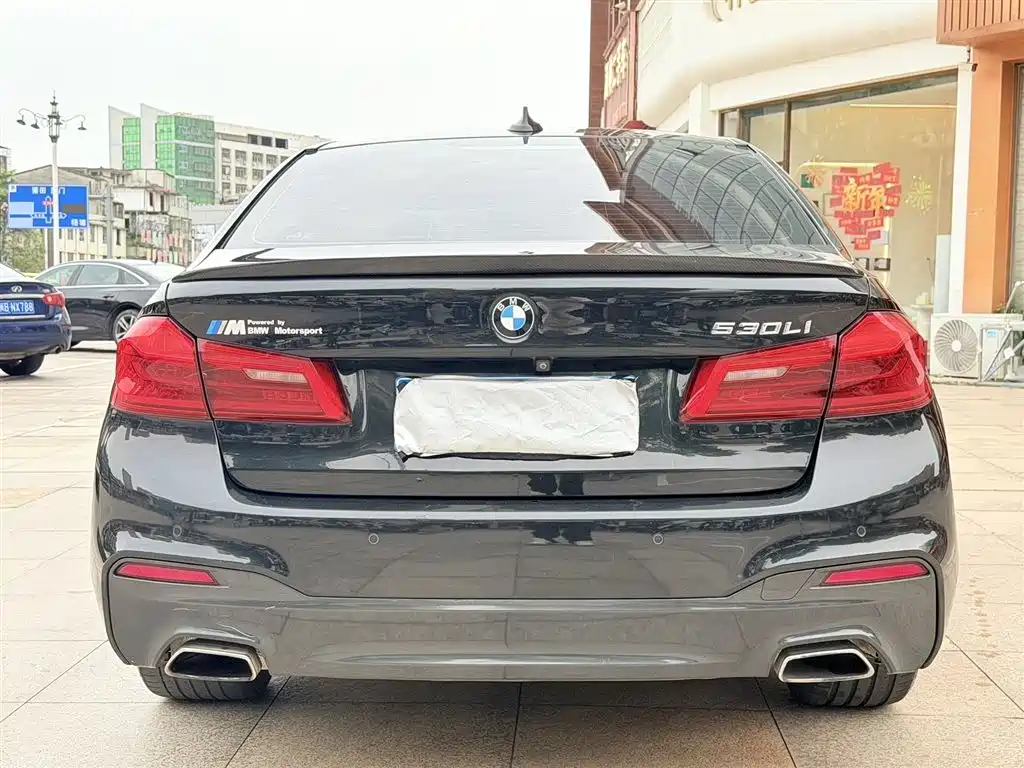 BMW 5 Series 2019 530Li Leading M Sport Package фото 7