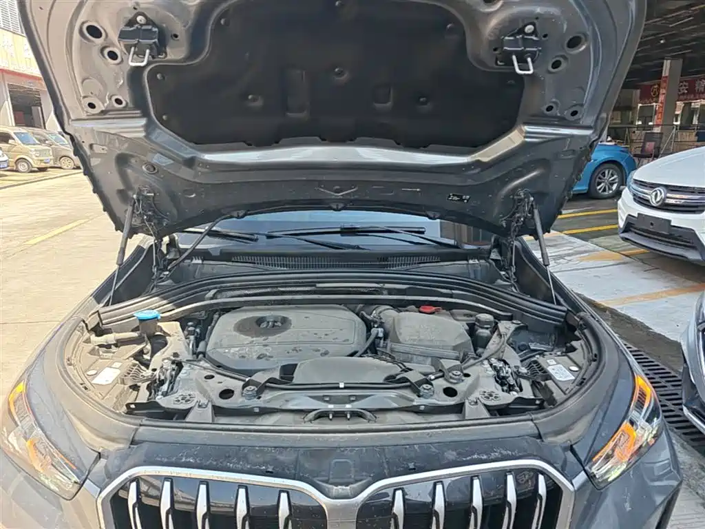 BMW X1 2023 sDrive25Li M Sport Package фото 20