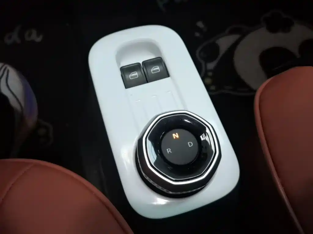 Geely Galaxy Panda 2025 Panda mini 210km Vitality Bear фото 14
