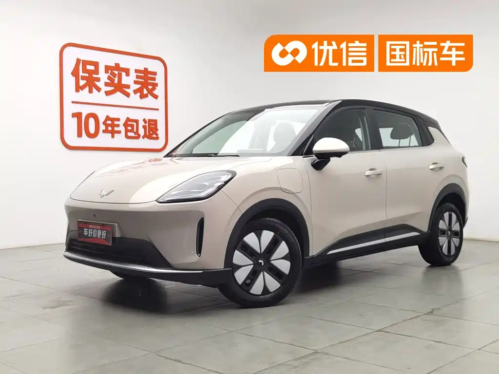 Wuling Motors Wuling Bingo S 2025 Model 430km Premium Edition