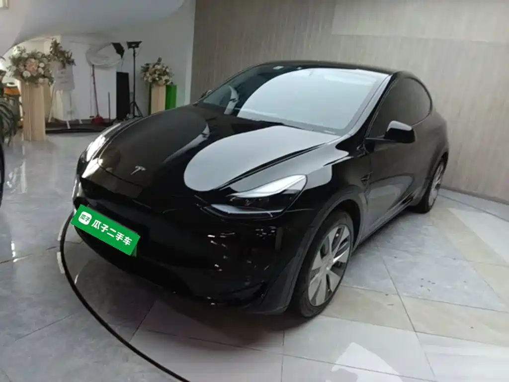 Tesla Model Y 2022 Rear-Wheel Drive Version