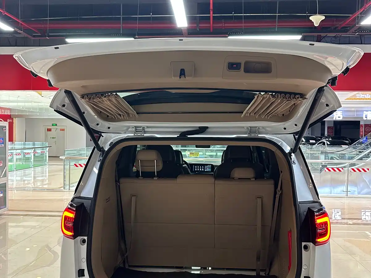 Buick GL8 2021 ES Landlord 653T Premium фото 13