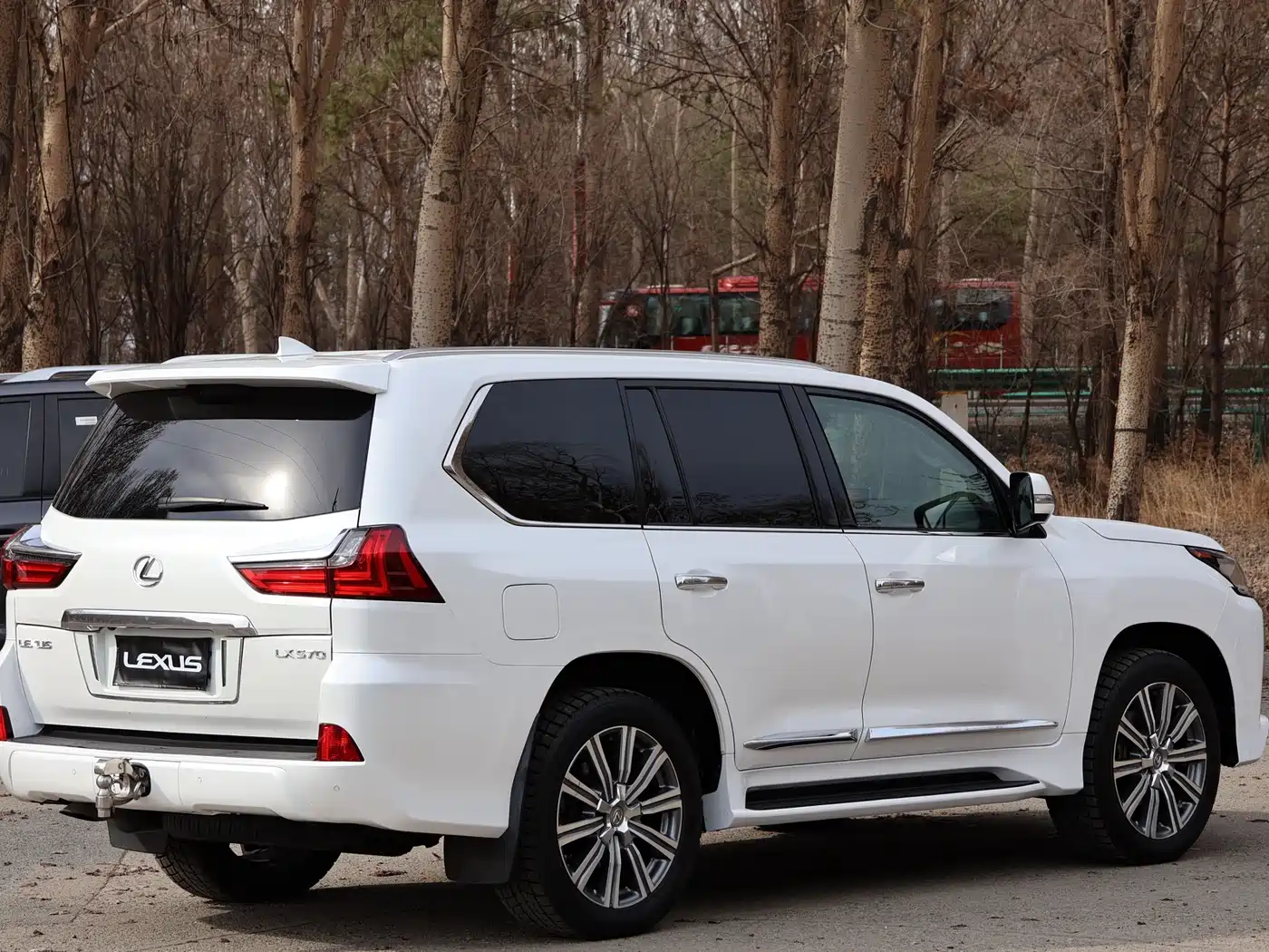 Lexus LX 2016 570 Luxury Premium Edition фото 12