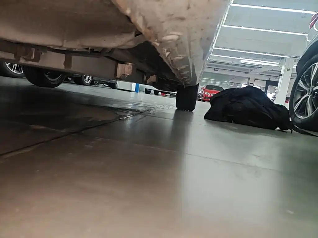 BYD e1 2020 2019 Radiance Edition