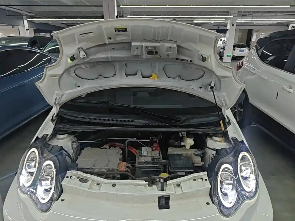 BYD e1 2020 2019 Radiance Edition
