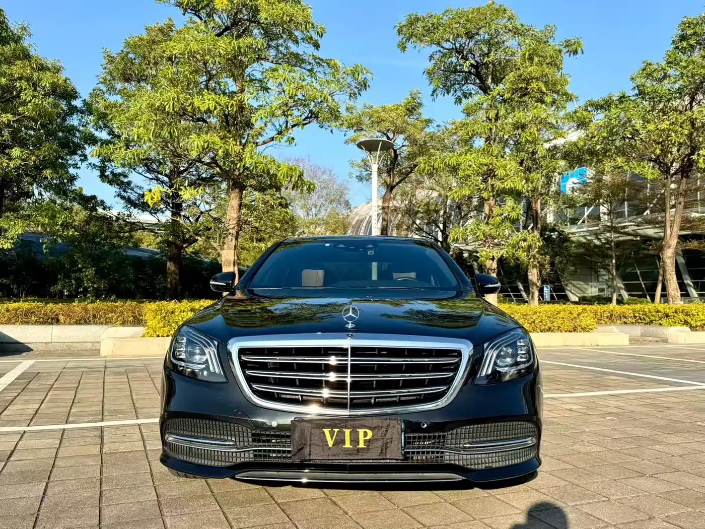 Mercedes-Benz S-Class 2020 S 350 L Business Edition Collector's Version фото 2