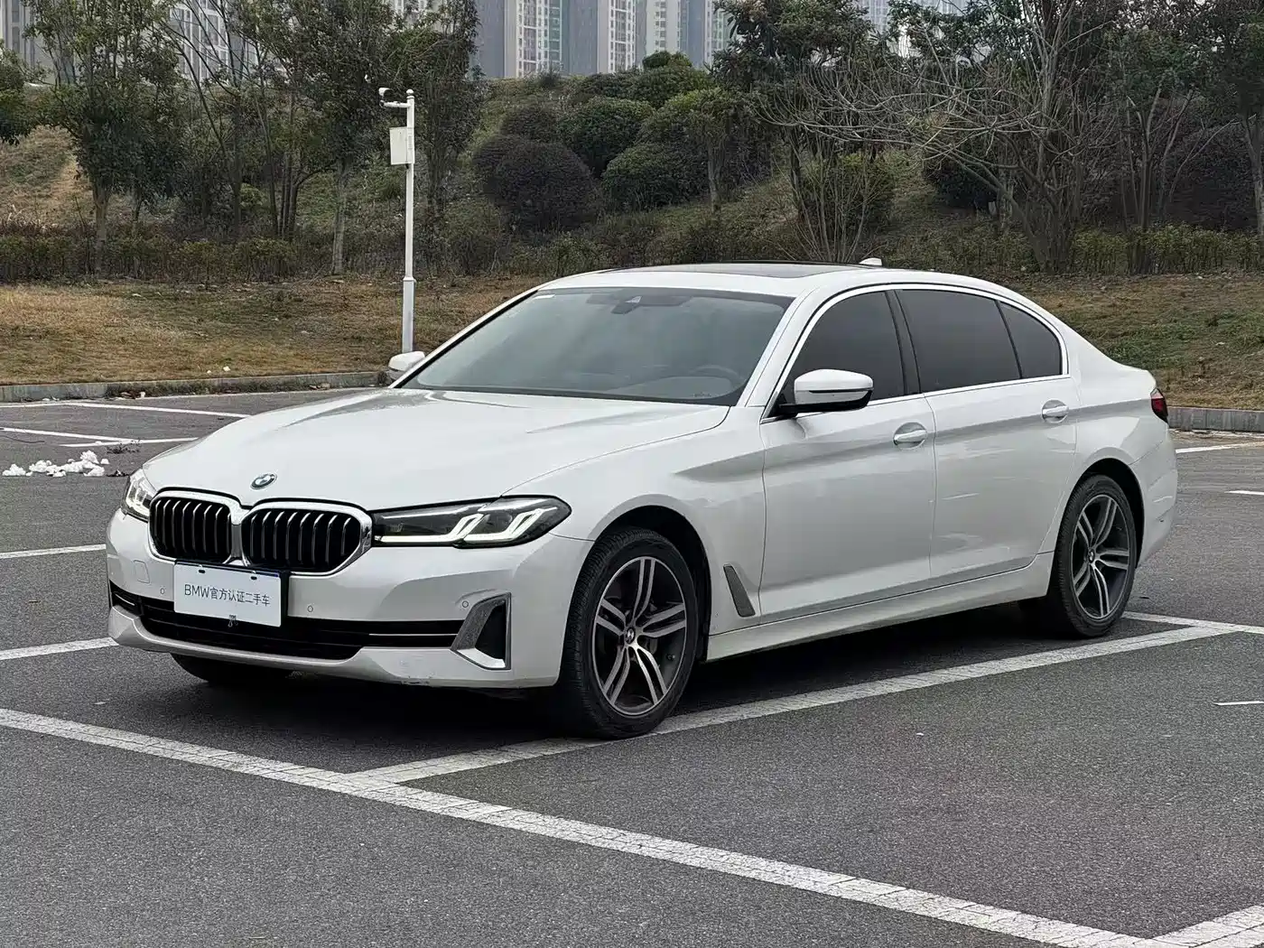 BMW 5 Series 2023 530Li Leading Luxury Package