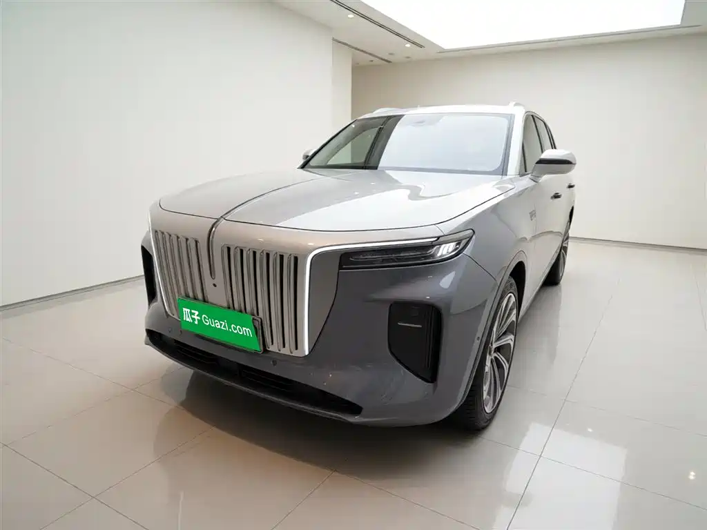Hongqi E-HS9 2022 660km Qi Ling Edition (4-seater) фото 2
