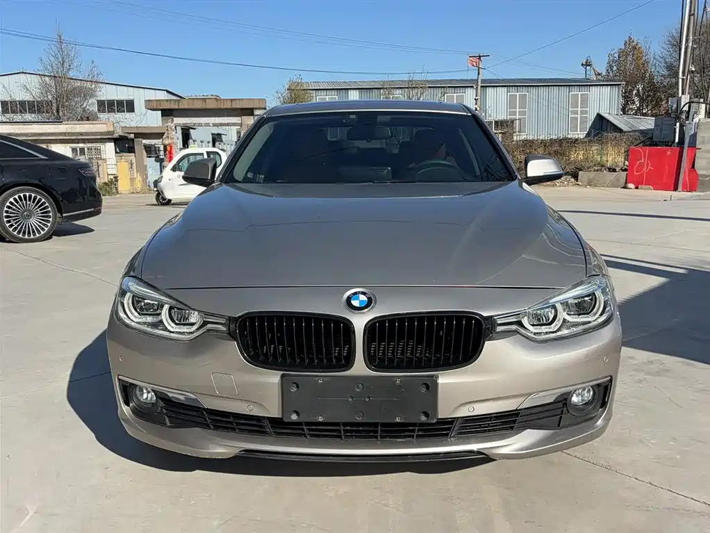 BMW 3 Series 2016 320Li Progressive фото 9