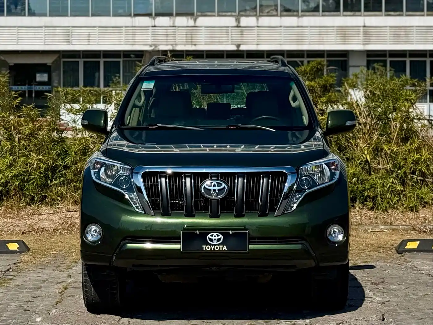 Toyota Prado (Import) 2010 2.7L Auto Luxury фото 2