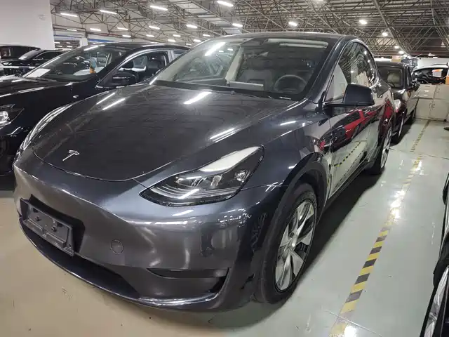 Tesla Model Y 2024 Rear-Wheel Drive Version