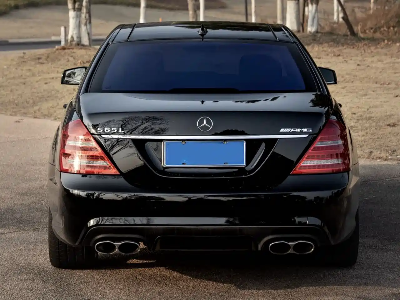 Mercedes-Benz S-Class AMG 2013 AMG S 65 L Grand Edition фото 4