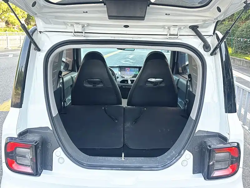 Geely Galaxy Panda 2023 Panda Mini 200km Endurance Bear фото 15