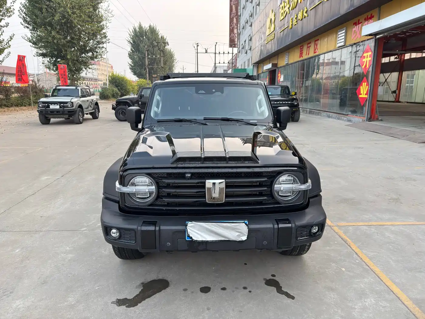 Photo 3 - Tank 300
