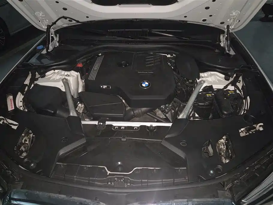 BMW 5 Series 2022 530Li Leading M Sport Package фото 10