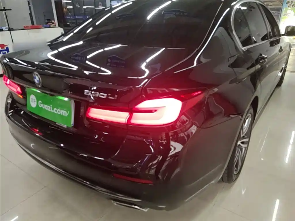 BMW 5 Series 2022 530Li Leading Luxury Package фото 8