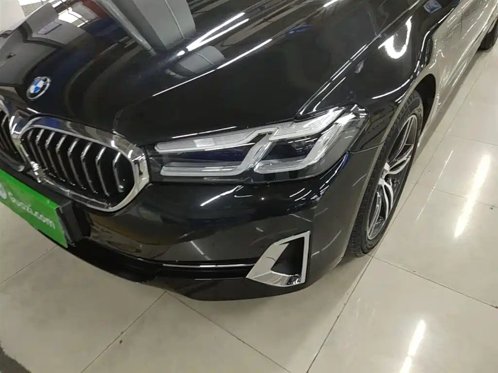 BMW 5 Series 2022 530Li Leading Luxury Package фото 24