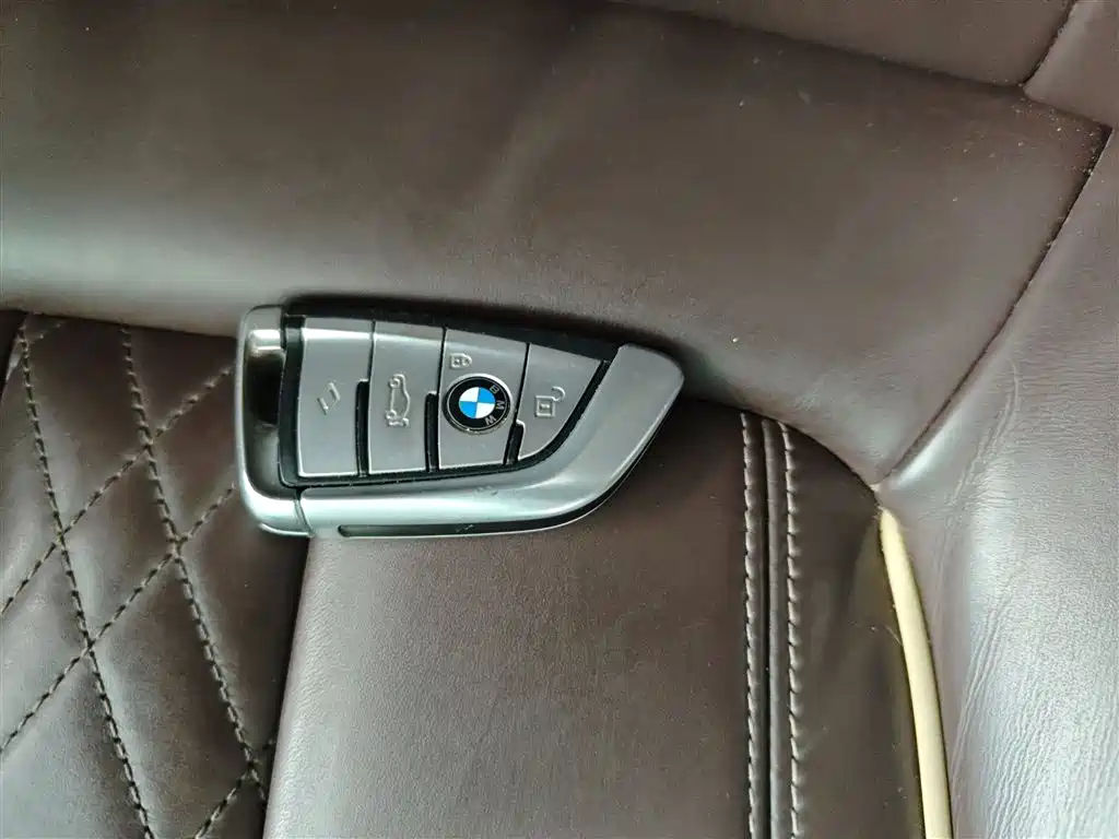 BMW 5 Series 2020 530Li Leading Luxury Package фото 11