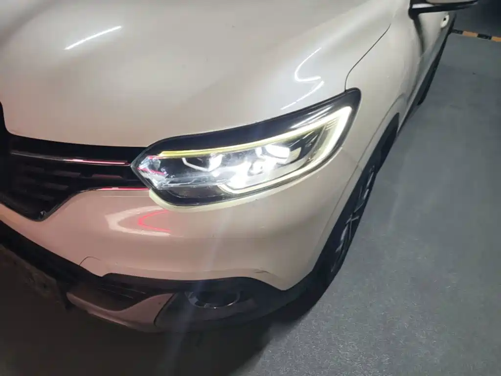 Renault Kadjar 2018 2017 2.0L 2WD Leading Edition