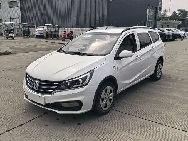 BAOJUN 310W