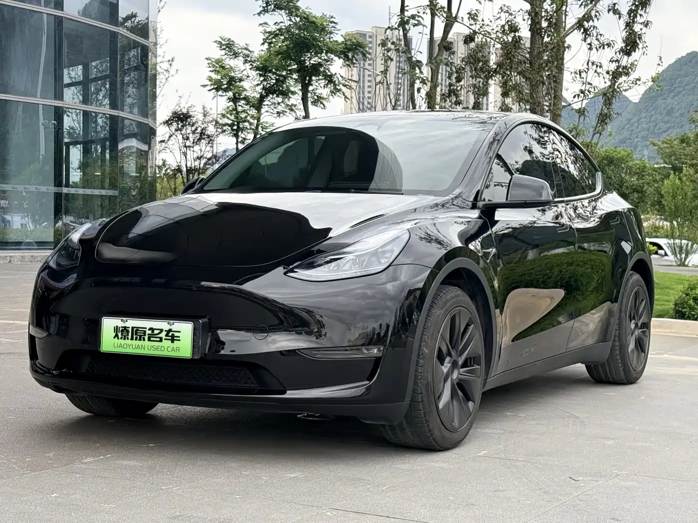 Tesla Model Y 2024 Rear-Wheel Drive Version