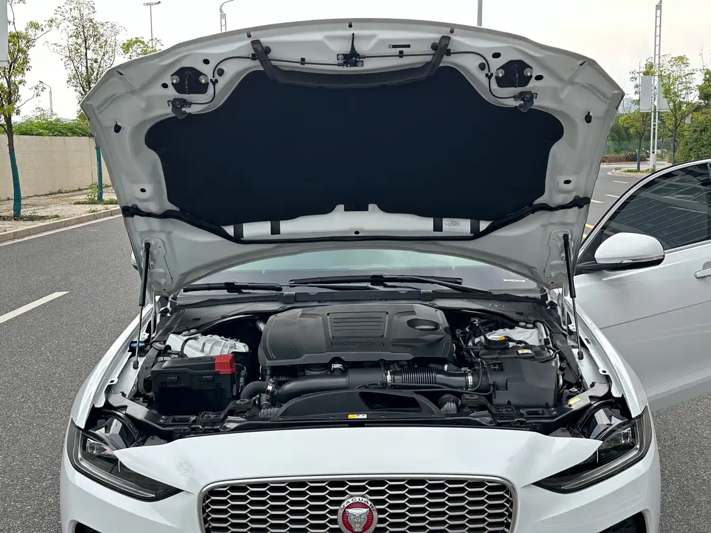 JAGUAR XEL