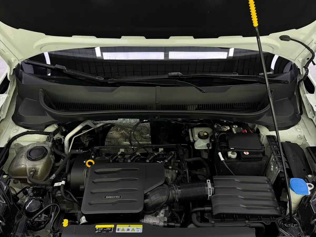 Volkswagen Tanying 2023 2021 1.5L Automatic Smart Connect Edition