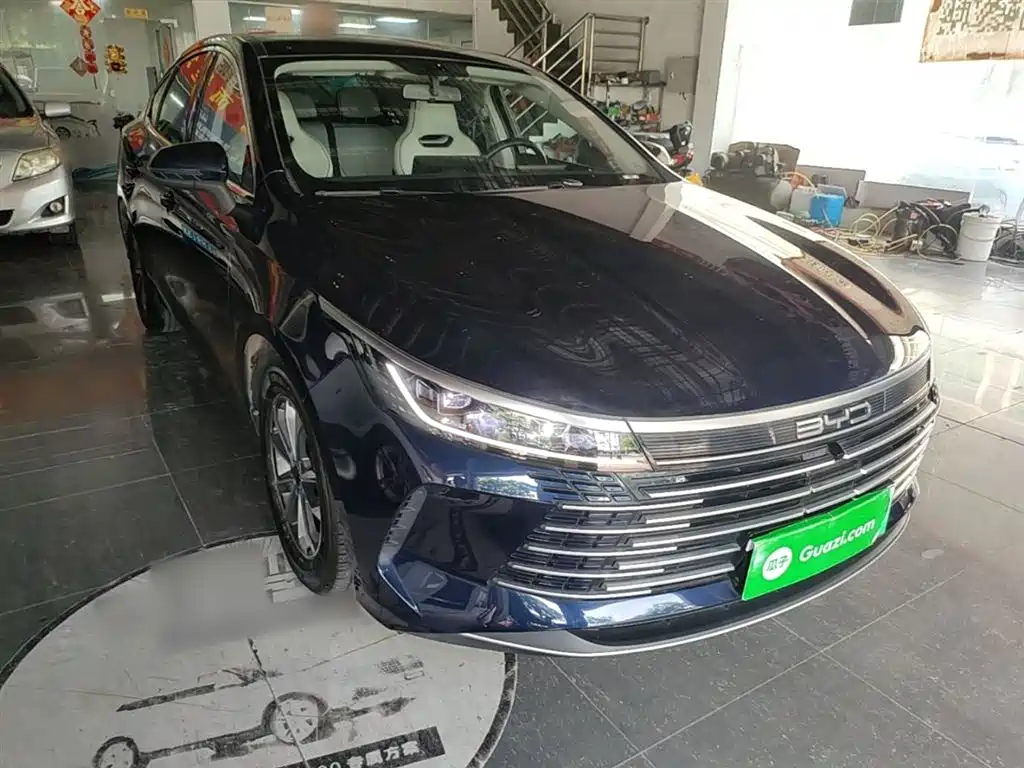 BYD Destroyer 05 2024 Glory Edition DM-i 55KM Luxury фото 4