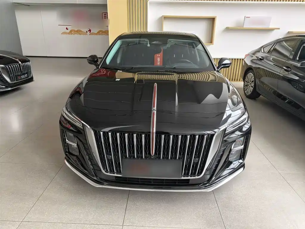 Hongqi H5 2024 2.0T Automatic Smart Connect Flag Smooth Edition фото 6