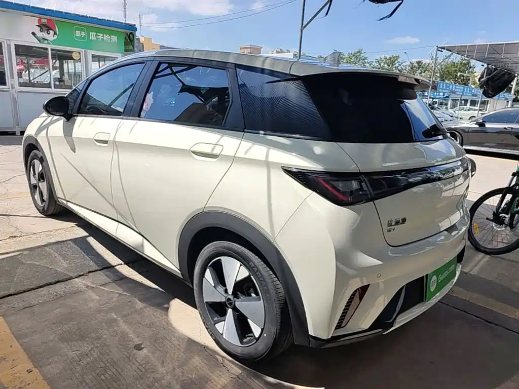 Фото 23 - BYD Dolphin