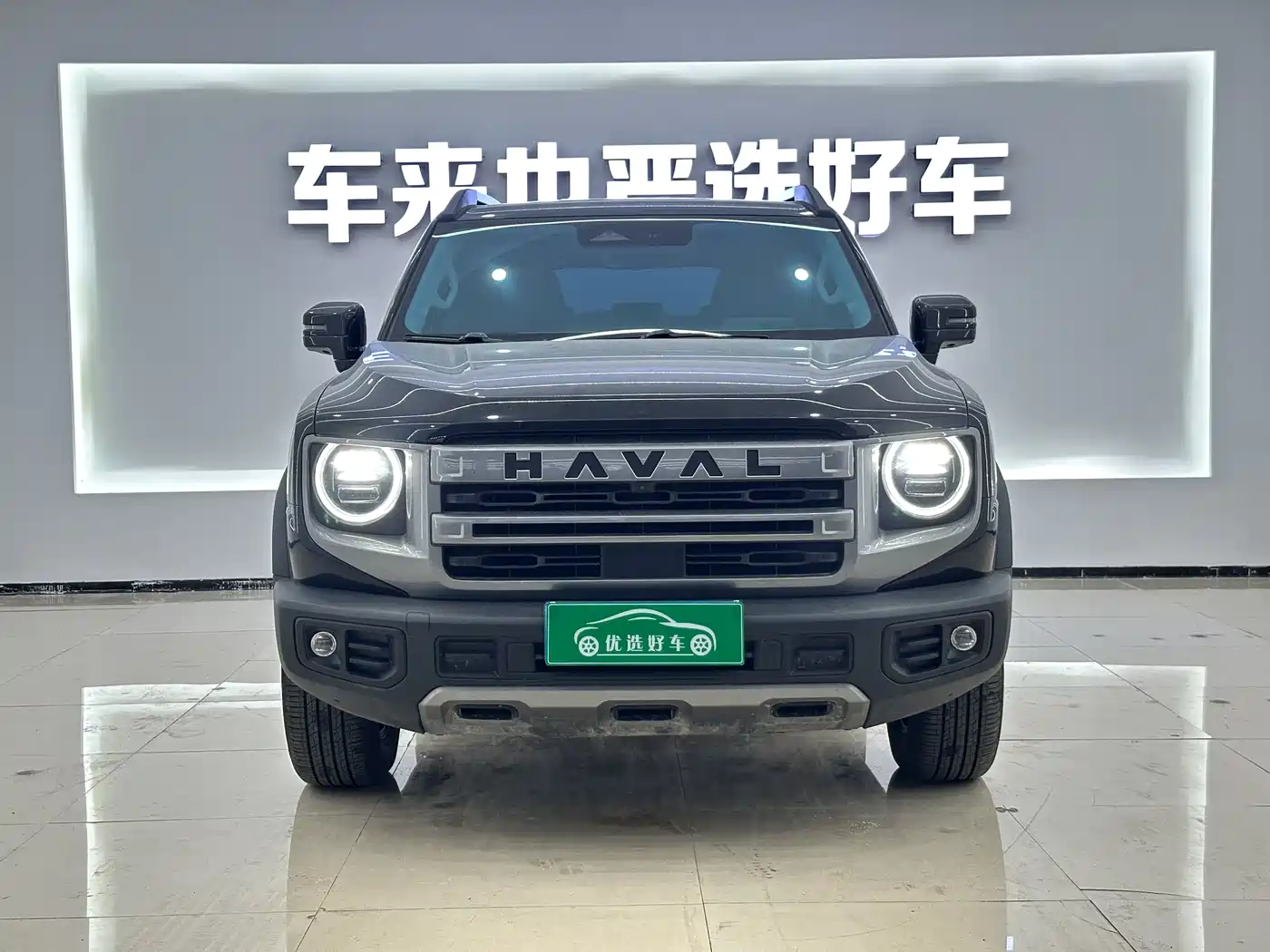 HAVAL BIG DOG