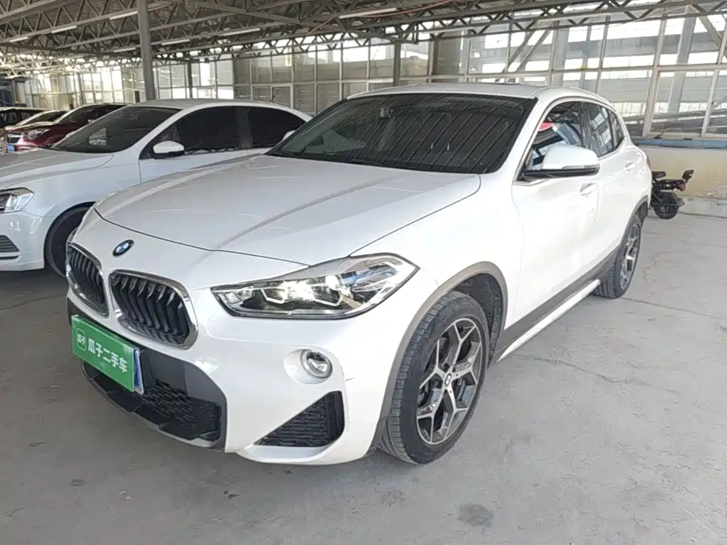 BMW X2 (Import) 2019 2019 sDrive20i M Off-Road Package China VI