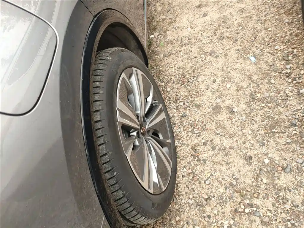 Hongqi E-HS9 2022 690km Qi Xiang Edition (6-seater) фото 26