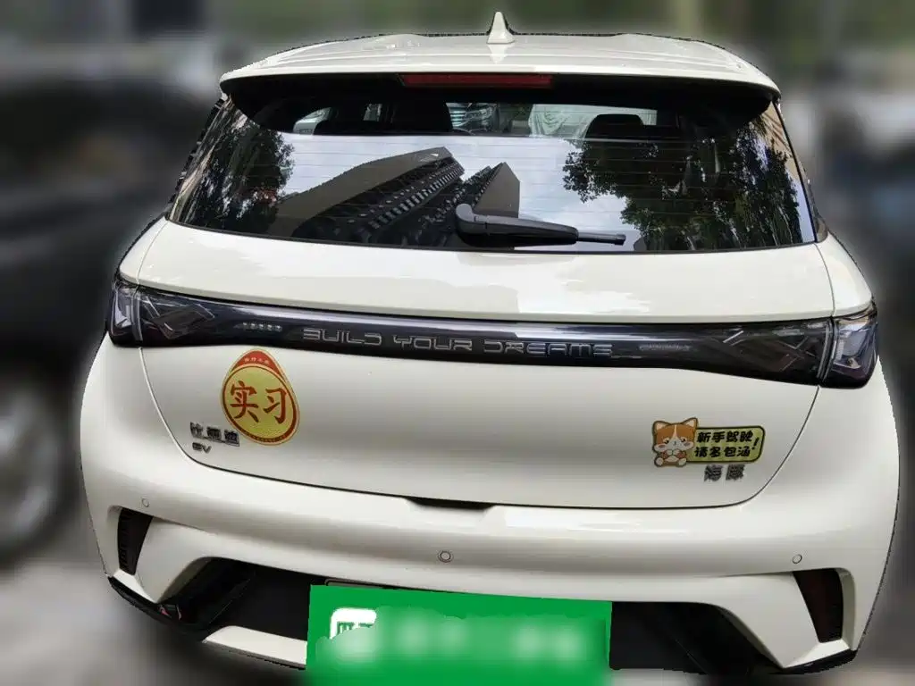 BYD Dolphin 2026 2025 420km Freedom Edition