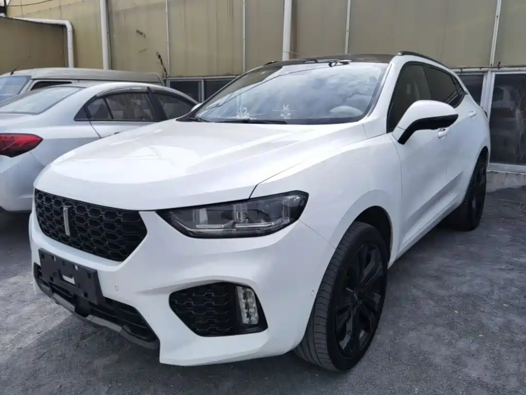 WEY VV5 2017 2017 2.0T Flagship Model
