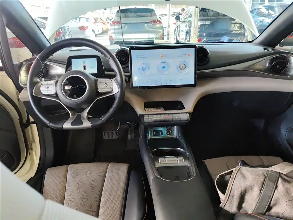 BYD Dolphin 2023 420km Fashion Edition фото 10