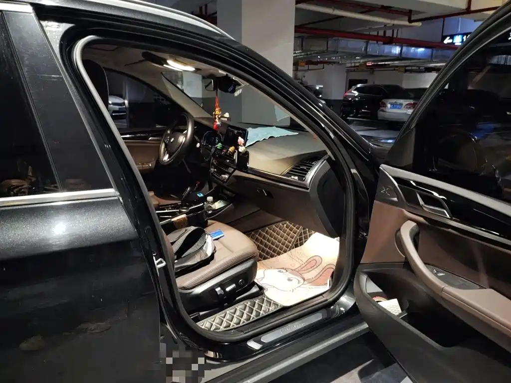 BMW X3 2020 xDrive25i Luxury Package фото 22
