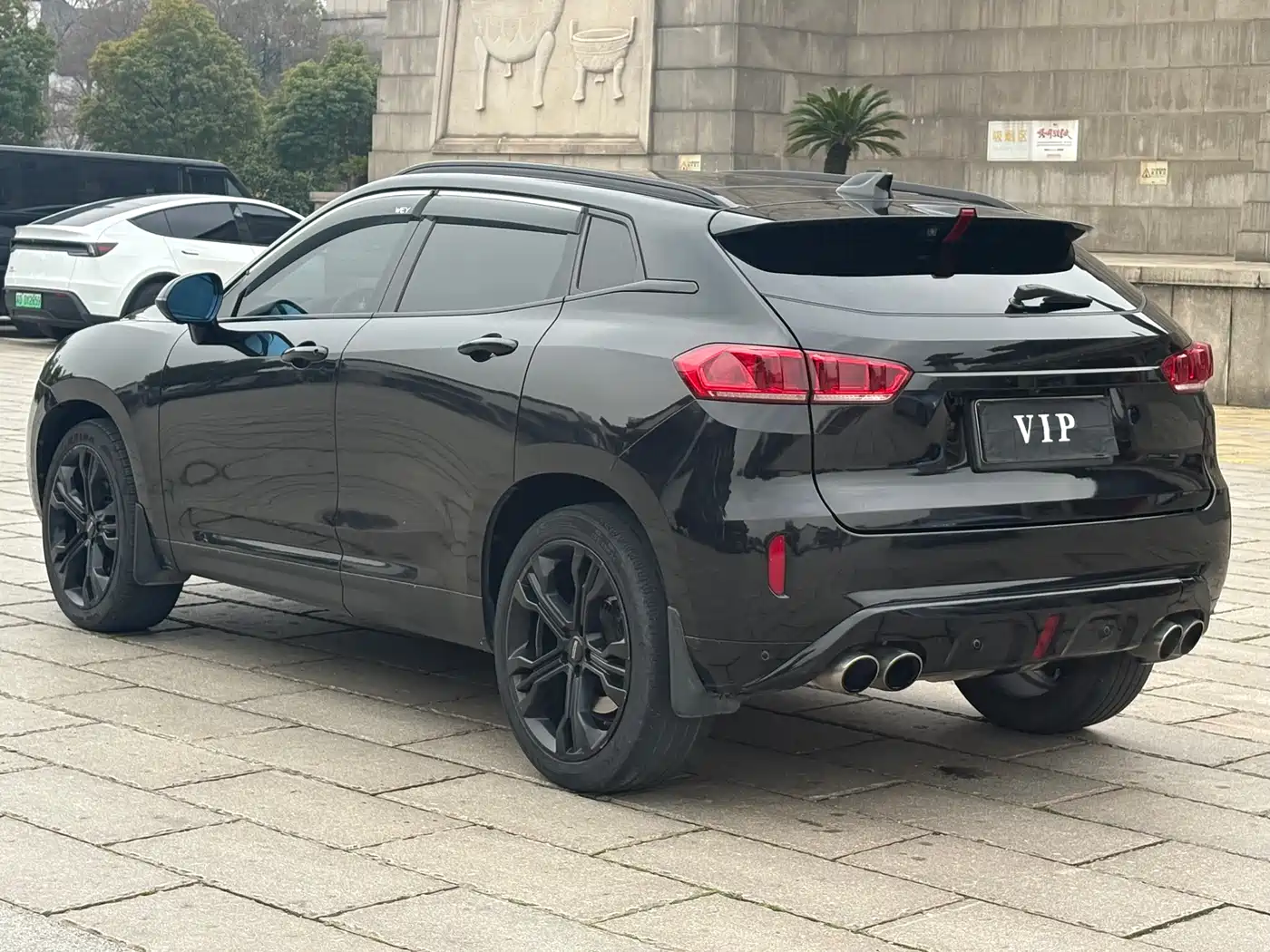 WEI PAI WEI BRAND VV7